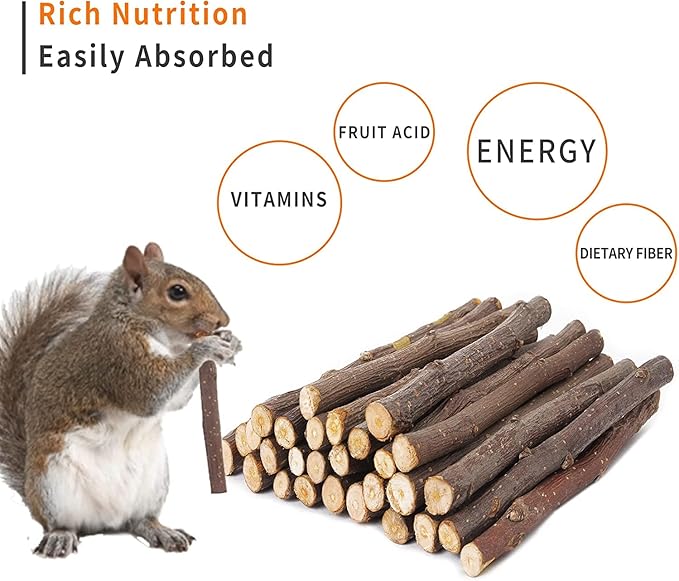 600g Apple Sticks Molar Wood Treats, Rabbit Toys Chinchilla Guinea Pig Bunny Toys Wood Chews Sticks for Teeth Rabbit Food Guinea Pig Hamster Gerbil Chews Small Animals Snacks(150 Pcs)-PurrikoPets