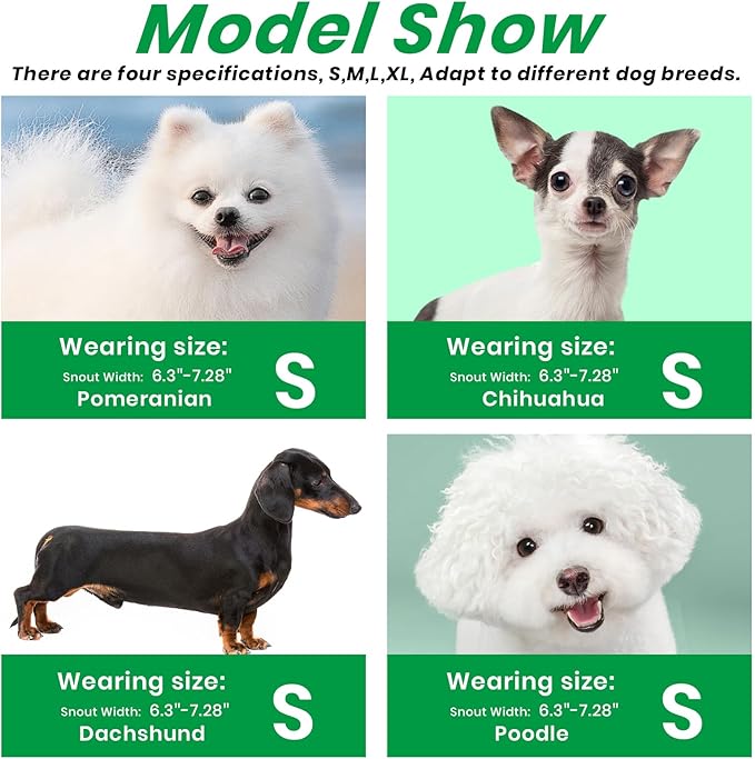 Dog Muzzle, Basket Muzzle for Small Medium Large Dogs, Anti-Biting and Chewing, Lightweight & Sturdy Cage Design, Allows Panting & Drinking, Ideal for Grooming & Training(Green Size S)-PurrikoPets