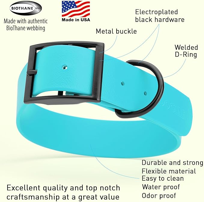 Dogline Biothane Waterproof Dog Collar Strong Coated Nylon Webbing with Black Hardware Odor- Proof for Easy Care Easy to Clean High Performance Fits Small Medium or Large Dogs, Sky Blue-PurrikoPets