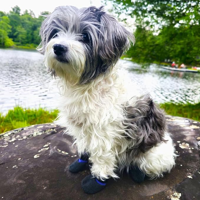 Double Dipped Thick Textured Waterproof Cotton Dog Socks | PawFlex Comfy Pawz Soft Indoor/Outdoor Pet Booties | Non-Slip Silicone Grip at Inner Wrist for No Twisting or Sliding Off| Adjustable Strap-PurrikoPets