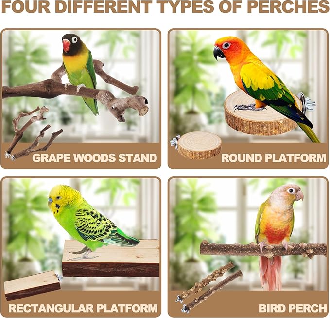 6-Piece Bird Perch Set - Natural Wood Grape Sticks, Paw Grinding Forks, Bird Stand & Toys for Parakeets, Cockatiels, Conure, Budgies-PurrikoPets
