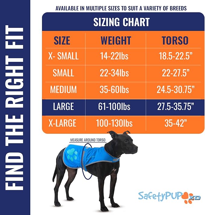 Dog Reflective Vest – Hi-Vis Fluorescent Visibility That Helps to Safeguard Your Pet On/Off Leash in Urban & Rural Areas (Blue, Large)-PurrikoPets