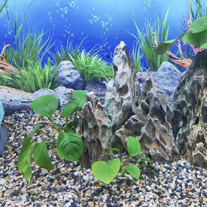 5lbs Aquarium Gravel, 1/8"(2-4mm) Natural River Rocks Succulent Cactus Pea Gravel for Plants, Fish Tank, Decorative Pebbles for Gardening, Flower Pots, Vase Fillers, Landscaping-PurrikoPets