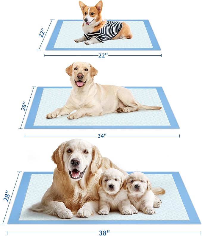 75-Pack XX-Large Puppy Pads - 38" x 28" Pee Pads for Dogs Potty Training with Leak-Proof Quick-Dry Design, 6-Layer Wee Wee Pads for Dogs, Blue-PurrikoPets