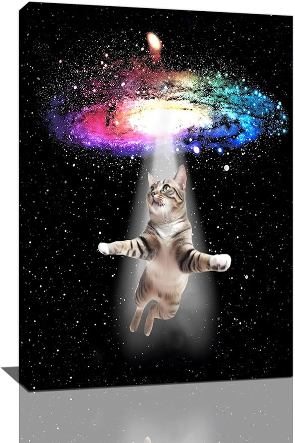 Funny Cat Wall Art Canvas Galaxy Wall Decor Prints Framed Painting Animal Pictures Gifts Artwork for Bathroom Living Dining Kitchen 16"x24"-PurrikoPets