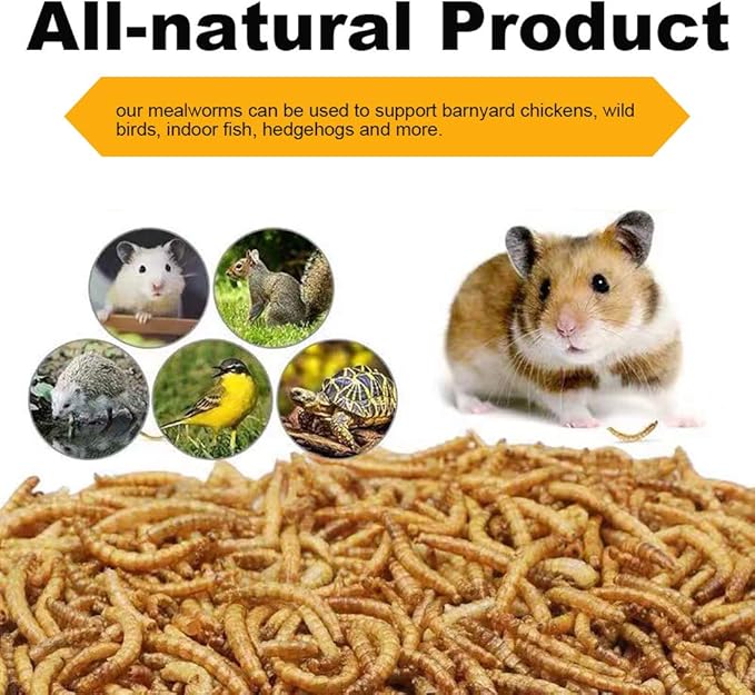 20lbs Mealworms, High-Protein Dried Mealworms for Birds, Chickens, Turtles, Fish, Hamsters and Hedgehogs, Non-GMO and Chemical Free, All Natural Animal Feed-PurrikoPets