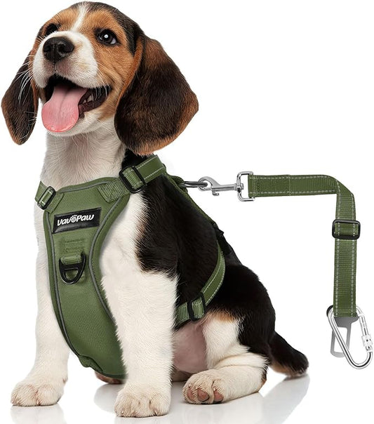 Dog Seat Belt Harness for Car, Dog Car Harness Adjustable Mesh Breathable & Dogs Seatbelt Safety Tether with Elastic Bungee for Small Medium Large Pets(Army Green, M)-PurrikoPets