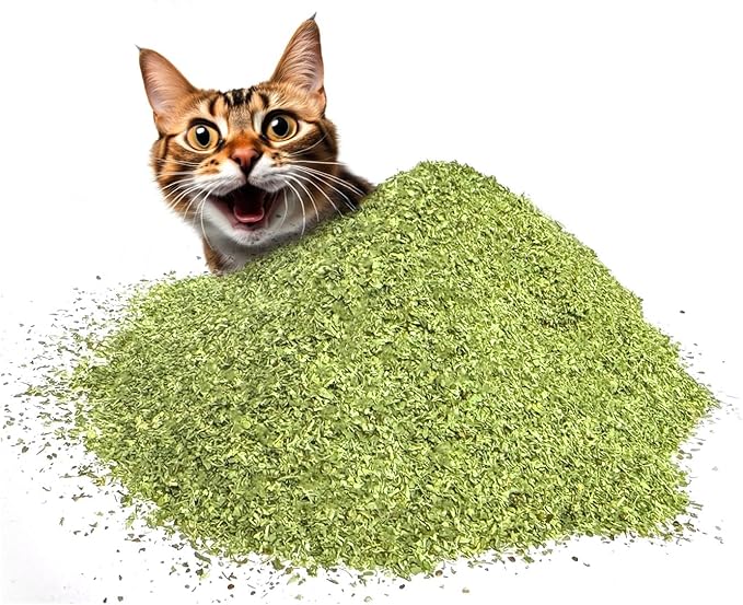 Fiend Catnip Safety-Cut 100% Pure Potent Fine Cat Nip for Cats & Kittens – Ultra Potent, North American – 1 Cup (34.5g) Canister – Go Ahead, Create a Monster!-PurrikoPets