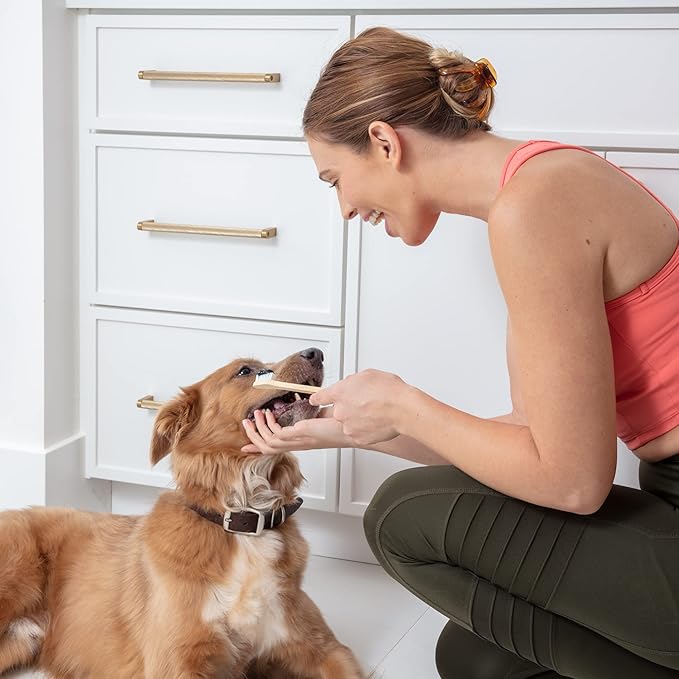 Dog Toothbrush I 4-Pack Two Sided Bamboo Toothbrush for Small and Large Dogs & Cats I Soft Bristles Gentle for Easy Dog Teeth Brushing & Dental Care-PurrikoPets