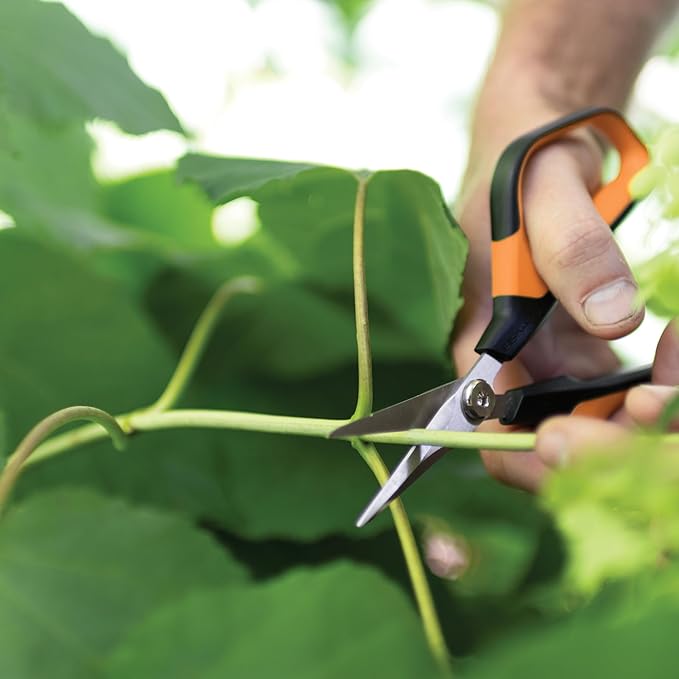 Fiskars Comfort Loop Micro-Tip Pruning Snips - 7" Garden Shears with Sheath and Extra Large SoftGrip Handle - Yard and Garden Tools - Orange/Black-PurrikoPets