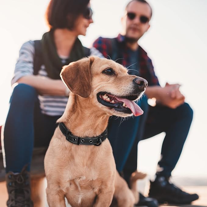 Fida Heavy Duty Dog Collar, Ultra Comfortable Soft Neoprene Padded, Adjustable Reflective Nylon Pet Collar with Durable Metal Belt Buckle for Small Breeds (S, Black)-PurrikoPets