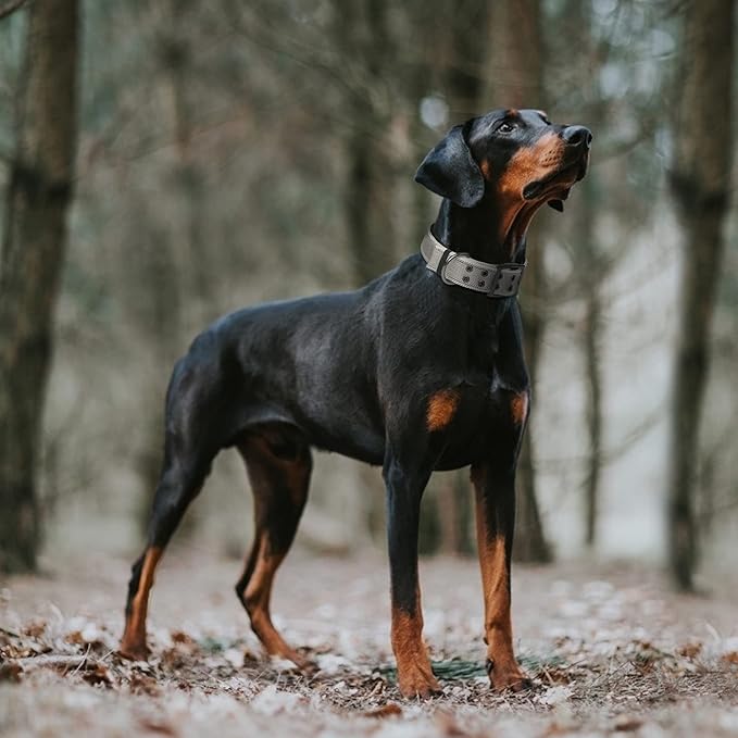 Fida Heavy Duty Dog Collar 1.5” Width, Ultra Soft Neoprene Padded, Adjustable Reflective Nylon Pet Collar with Two Metal Pin Belt Buckle for Large/X-Large Breeds (XL, Grey)-PurrikoPets