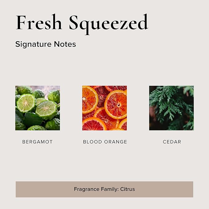 Fresh Squeezed Car Air Freshener - 4 Pack-PurrikoPets