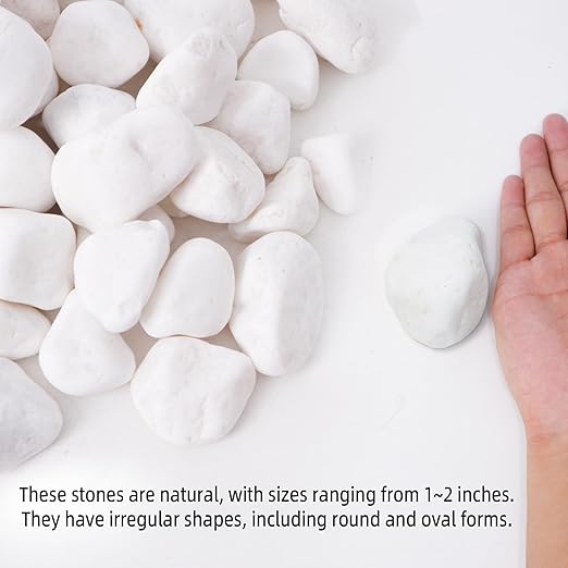 45LB 1"-2" White River Rocks for Plants, Polished Pebbles for Garden Landscaping, Planters, Aquariums, Vase Fillers – Indoor & Outdoor Decor-PurrikoPets