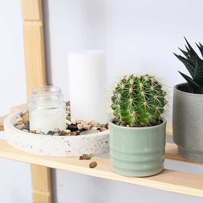 2 Pounds Pebbles for Plants, 3/8 Inch Succulent Rocks, Decorative Polished River Rocks for Plants Indoor, Vases, Cactus Planters, Bird Bath, Craft and Fairy Garden-PurrikoPets