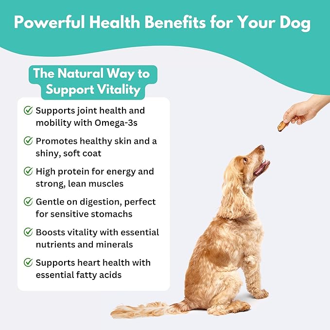 ALFIE'S TREATOS Salmon Skin Treats for Dogs & Cats (5.3 oz, 2x2.65 oz), Value Bundle, Air-Dried Fish Skin Dog Treats, Omega-3 Food Topper & Training, Single Ingredient, Freeze-Dried Alternative-PurrikoPets