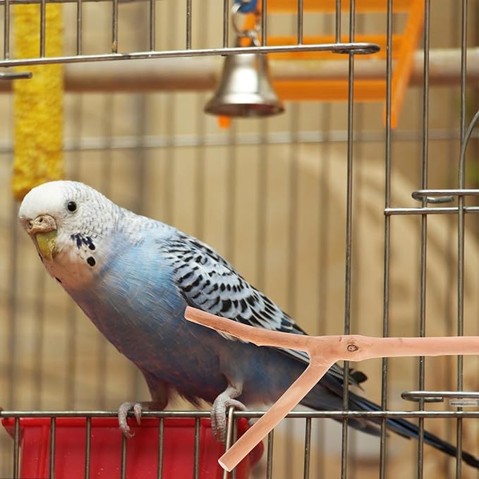 2pcs Bird Parrot Perch Stand Poles, Natural Wooden Parrot Perch for Cage, Branches Fork Rod for Small Parakeets Cockatiels Conure Lovebirds Bird Cage Accessories-PurrikoPets