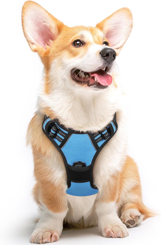 Eagloo Dog Harness Medium Sized Dog, No Pull Service Vest with Reflective Strips and Control Handle, Adjustable and Comfortable for Easy Walking, No Choke Pet Harness with 2 Metal Rings, Sky Blue, M-PurrikoPets