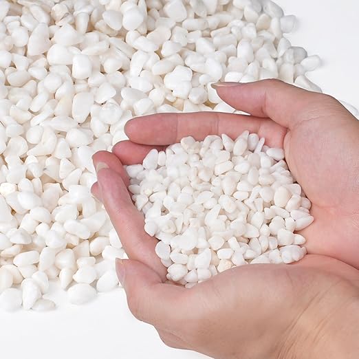 2.5 lbs White Aquarium Gravel, 1/5 Inch White Rocks for Plants, Small Pebbles for Vases, Succulents, Bamboo, Natural Decorative Pebbles for Plants Drainage, Cactus, Crafts-PurrikoPets