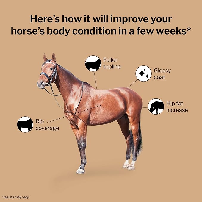 Formula 707 Weight Gain Equine Supplement, Daily Fresh Packs, 28 Day Supply - Palatable, Calorie-Rich Nutritional Support for Hard-to-Keep and Senior Horses-PurrikoPets