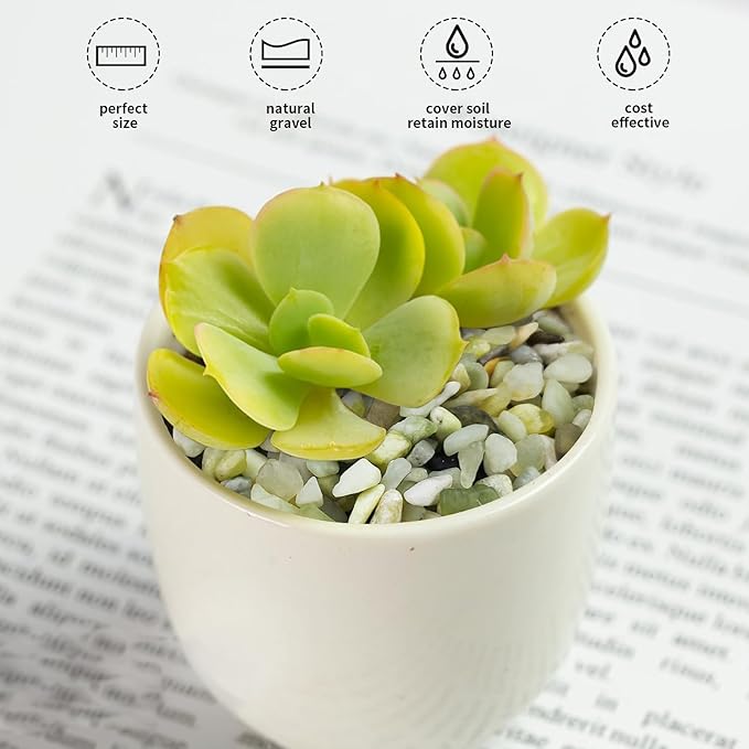 2 lbs Jade Rocks for Plants Indoor, 1/4 inch Small Pebbles for Plants, Decorative Rocks for Succulents Cactus Vases Landscaping Drainage and Outdoor Garden Rocks-PurrikoPets