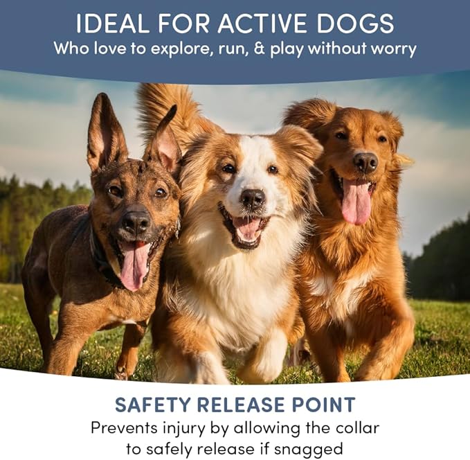 Flea and Tick Collar for Dogs, Cats – Natural Essential Oils – Long-Lasting 8 Month Protection – Waterproof, Adjustable – Safe for Puppies, Kittens, Sensitive Skin-PurrikoPets