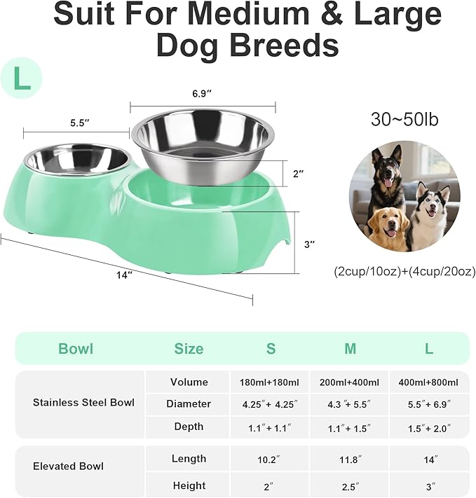 Elevated Dog Bowls Set - Non-Slip Raised Pet Feeder with Medium (2 Cups) & Large (4 Cups) Stainless Steel Bowls - Includes Durable Resin Stand for Puppies, Adult Dogs & Cats - Green-PurrikoPets