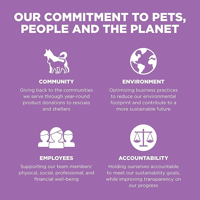 Go! Solutions Carnivore, Grain-Free, Protein Rich Dry Cat Food, Chicken, Turkey and Duck Recipe, 3 lb Bag-PurrikoPets