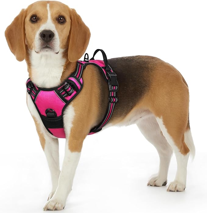 Eagloo Dog Harness Small Sized Dog, No Pull Service Vest with Reflective Strips and Control Handle, Adjustable and Comfortable for Easy Walking, No Choke Pet Harness with 2 Metal Rings, Rose Red, S-PurrikoPets