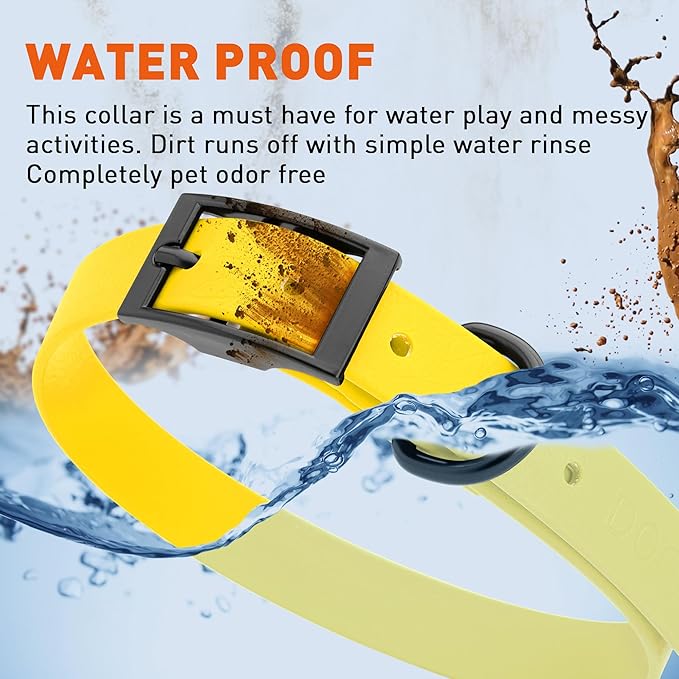 Dogline Biothane Waterproof Dog Collar Strong Coated Nylon Webbing with Black Hardware Odor- Proof for Easy Care Easy to Clean High Performance Fits Small Medium or Large Dogs, Lemon Yellow-PurrikoPets