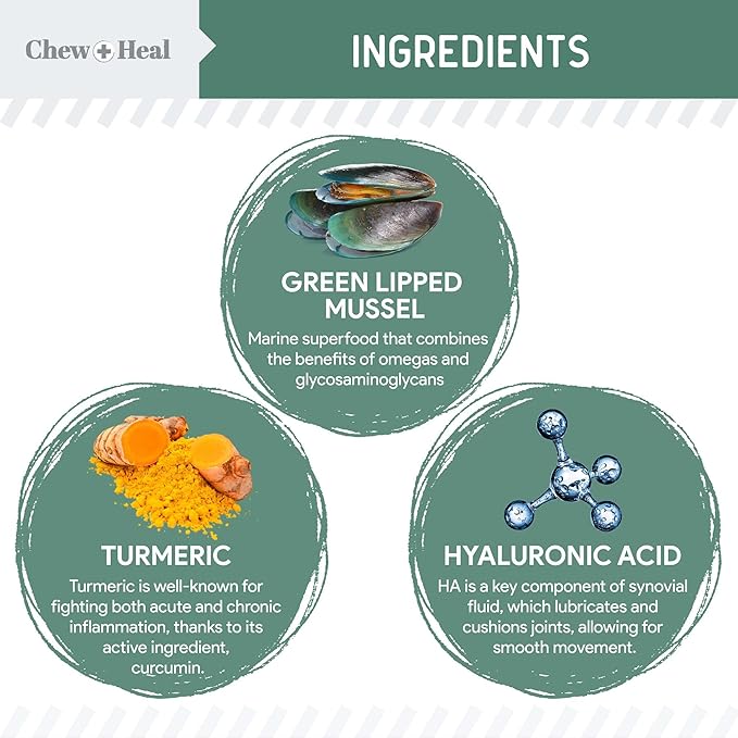 Glucosamine for Dogs Hip and Joint Supplement - 120 Senior Dogs Mobility Soft Chews - Made with Glucosamine, MSM, Chondroitin, Green Lipped Mussels and More - Made in The USA-PurrikoPets