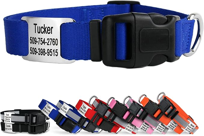 GoTags Personalized Dog Collar with Nameplate, Adjustable Dog Collar with Custom Engraved Slide On Pet ID Tag in Stainless Steel, Silent, No Noise Dog Tag for Large Medium and Small (Blue, Large)-PurrikoPets
