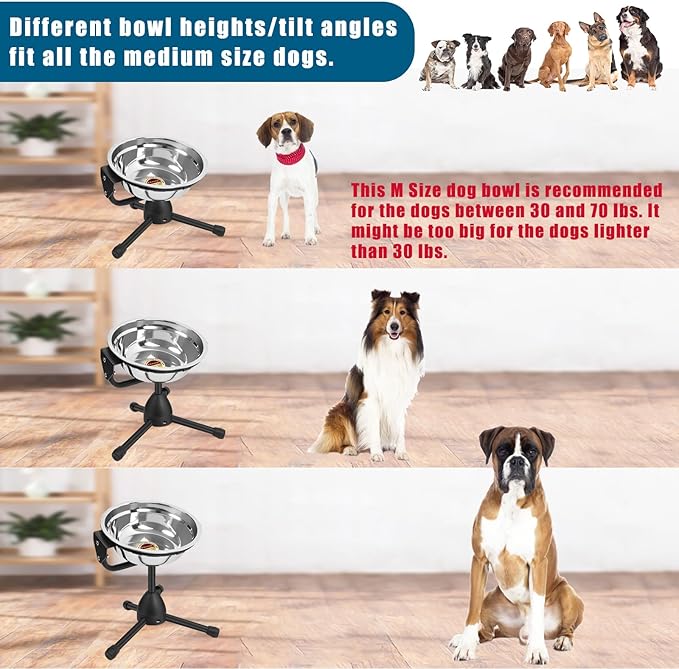 2 Pack Elevated Bowls With Adjustable Metal Stand, Medium Size for Dogs 30-70 lbs, 0.5 Gal 2 Liter, Stainless Steel Food Water Bowl, Height Adjustable Non-Slip Raised Set-PurrikoPets