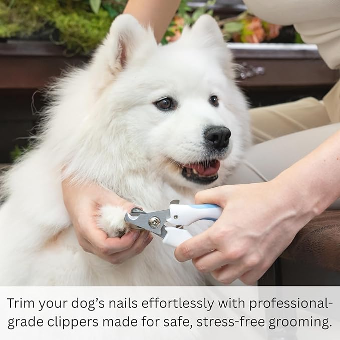 AIXINPET Dog & Cat Nail Clippers and Trimmers - with Free Nail File, Protective Guard to Avoid Over Cutting, Extra Sharp Blade - Suitable for Small to Large Dogs & Cats, Birds and Rabbits (Small)-PurrikoPets