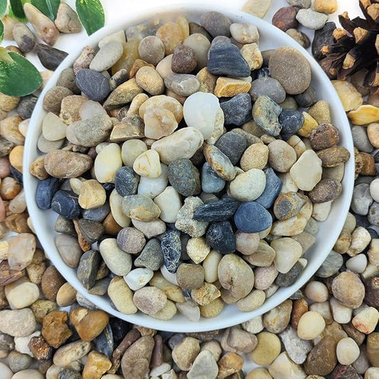 2lbs Natural River Rocks for Plants, 3/8" Aquarium Gravel Decorative Polished Mixed Pebbles for Fish Tank, Gardening, Flower Pots, Vase Fillers, Indoor Water Fountains, Landscaping-PurrikoPets