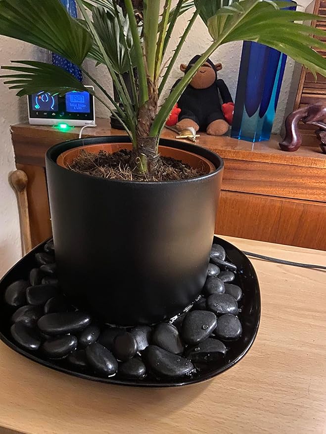 20 lbs Black Pebbles for Plants, 0.8-1.2 inch River Rocks for Landscaping, Decorative Stones for Vase Fillers, Fish Tank Gravel and Garden Rocks-PurrikoPets