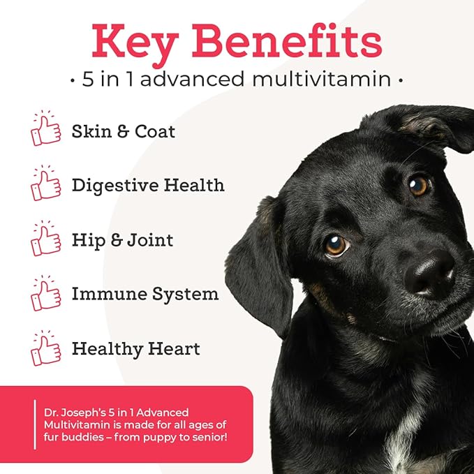 Dr. Joseph's VetPro Complete Multivitamin Dog Supplement, 60 Count (Small Dog 60 Days Supply), 5 in 1 Chew with Vitamins, Enzymes & Nutrients, Hip and Joint Health, Immune System and Allergy Support-PurrikoPets