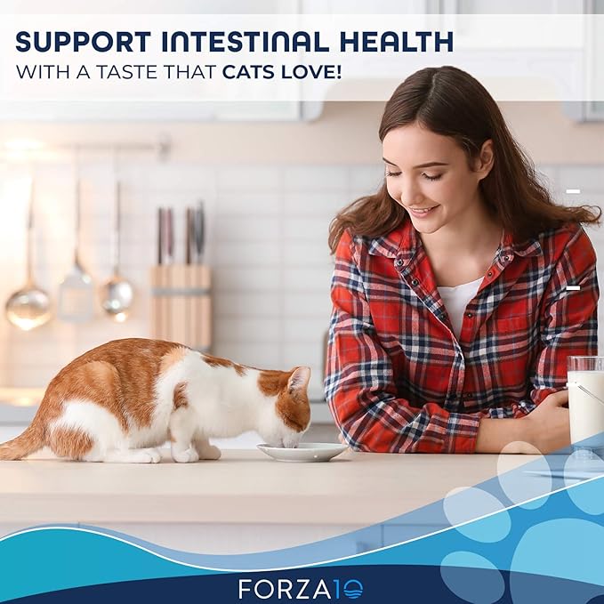 Forza10 Active Intestinal Support Diet Dry Cat Food for Adult Cats, Cat Food Dry for Upset Stomach, Diarrhea and Intestinal Disorders, Wild Caught Anchovy Flavor, 4 Pound Bag-PurrikoPets
