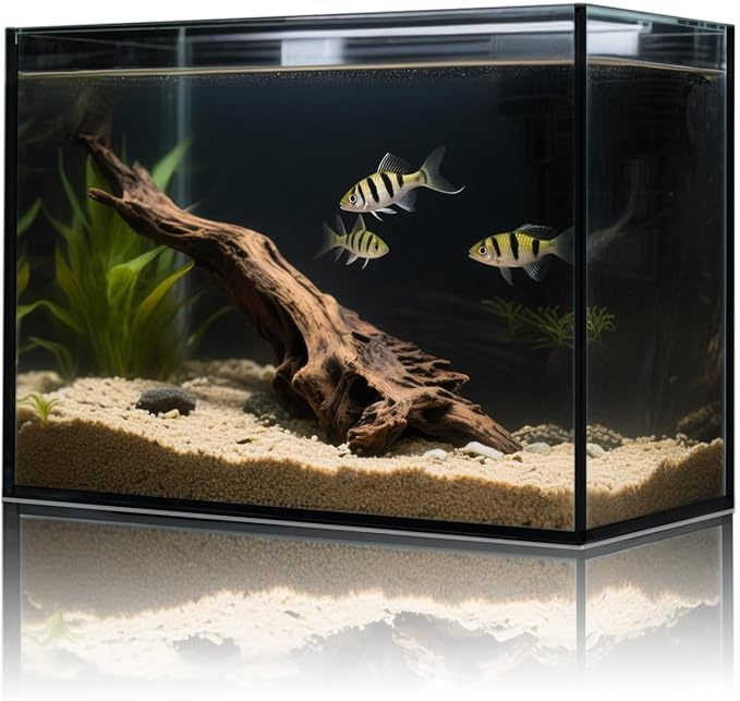 3 Gallon Glass Fish Tank Cube, Small Aquarium Fish Bowl for Betta Goldfish Snails Shrimp Aquatic Planting, Easy to Maintain Ultra Clear Rimless Design for Desktop Small Spaces-PurrikoPets