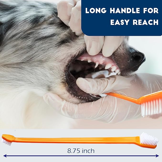 300 Pcs Dog Toothbrush Cat Tooth Brushes Bulk, Double Sided Brushing Kit, Teeth Cleaning Kit Soft Bristles Long Handle, Pet Tooth Brush for Small to Large Dog, Cat, Puppy & Kitten, 10 Colors-PurrikoPets