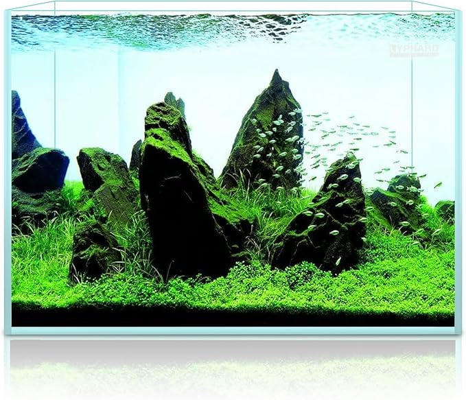 9.5 Gallon Rimless Aquarium, Ultra Clear Glass Low Iron Small Fish Tank for Betta, L15.7×W11.8×H11.8 Inches Thickness 5mm with EVA Foam Mat Included-PurrikoPets