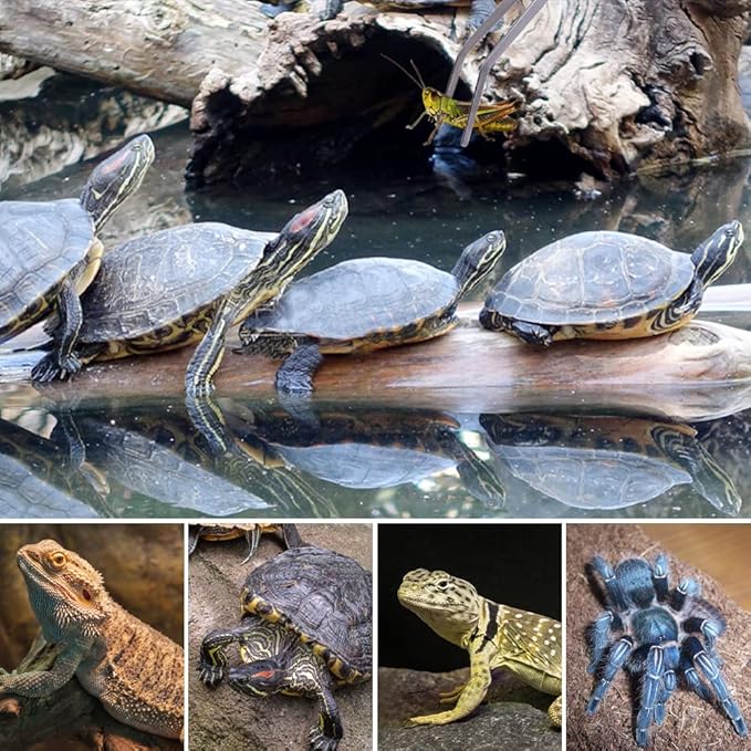 Extra Long Handle Aquarium Tweezers Serving Tongs Feed clamp,2 Pack Stainless Steel Straight and Curved Tweezers Set for Fish Tank Plants Reptile Feeding Tongs（15 Inchs）-PurrikoPets