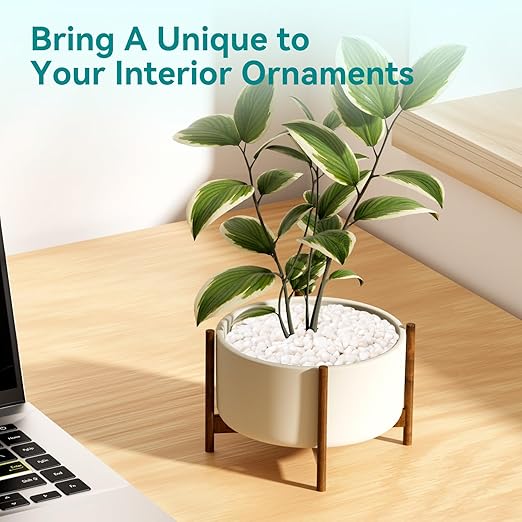 2.5 lbs Small White Rocks for Planters, 3/8" White Pebbles for Vases, Decorative Small Stones for Plants, Succulents, Bamboo, Terrarium, Landscape, Garden-PurrikoPets