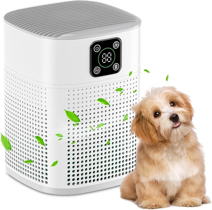 Air Purifiers for Bedroom, Honeyuan H13 HEPA Air Purifier for Home Large Room 600 sqft, Air purifiers with 360°Air Intake, 3 Fan Speeds, 3-Stage Filtration, White-PurrikoPets