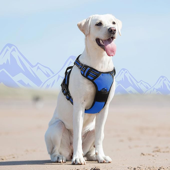 Eagloo Dog Harness for Large Dogs, No Pull Service Vest with Reflective Strips and Control Handle, Adjustable and Comfortable for Easy Walking, No Choke Pet Harness with 2 Metal Rings, Blue, L-PurrikoPets