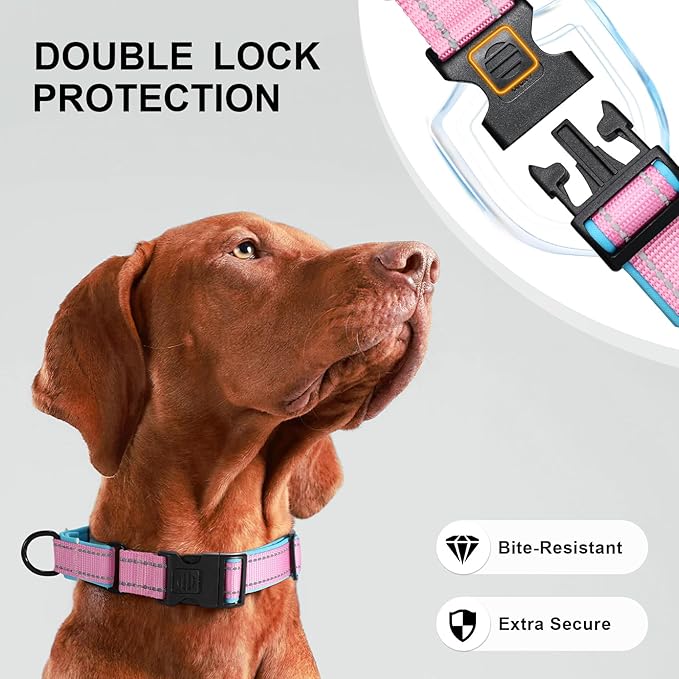 Airtag Dog Collar with Martingale Design, IP68 Waterproof Air Tag Collar Holder, Adjustable Reflective Soft Padded Nylon Dog Collar for Large Medium Small Dogs-PurrikoPets