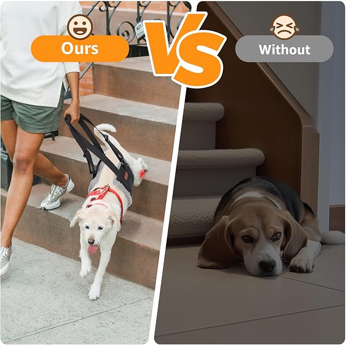 Adjustable Dog Lift Harness, Dog Sling for Large Dogs Hind Leg Support, Soft Lift Support Helps Senior, Injured, Disabled and After ACL Surgery Dogs-Black & Grey (Medium)-PurrikoPets