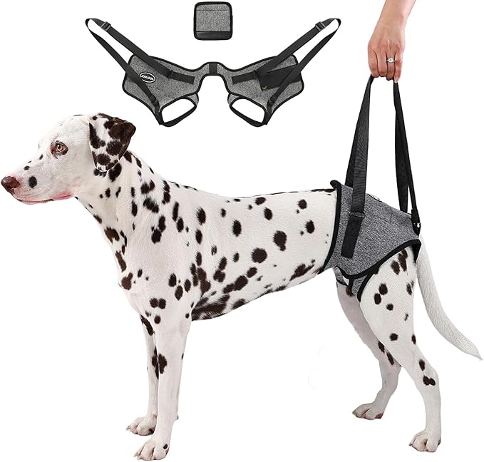 Dog Sling for Medium Large Dog Rear Leg, Lift Harness Provide Support with Muscle Atrophy and Joint Problems for Elderly Injured Arthritic Pet, Dog Weak Rear Legs Provides Rehabilitation Aid-PurrikoPets