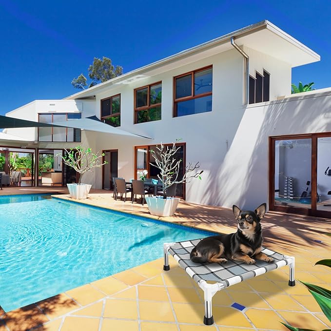 Elevated Outdoor Raised Dog Bed Outdoor Dogs Bed Lifted Pet Bed Dog Cot for Pet Taste Life, Start with A Pet Bed 20'' x 20'' x 6.5''-PurrikoPets