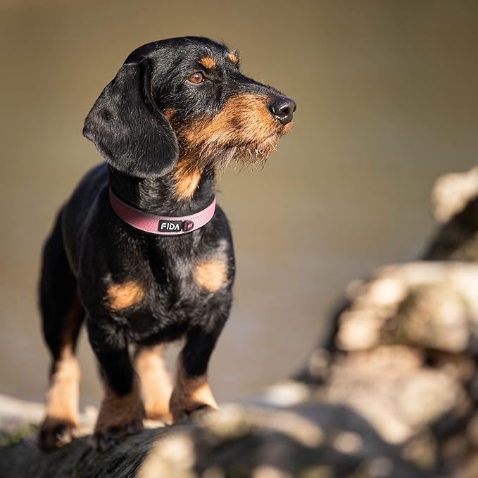 Fida Heavy Duty Dog Collar, Ultra Comfortable Soft Neoprene Padded, Adjustable Reflective Nylon Pet Collar with Durable Metal Belt Buckle for Medium Breeds (M, Pink)-PurrikoPets